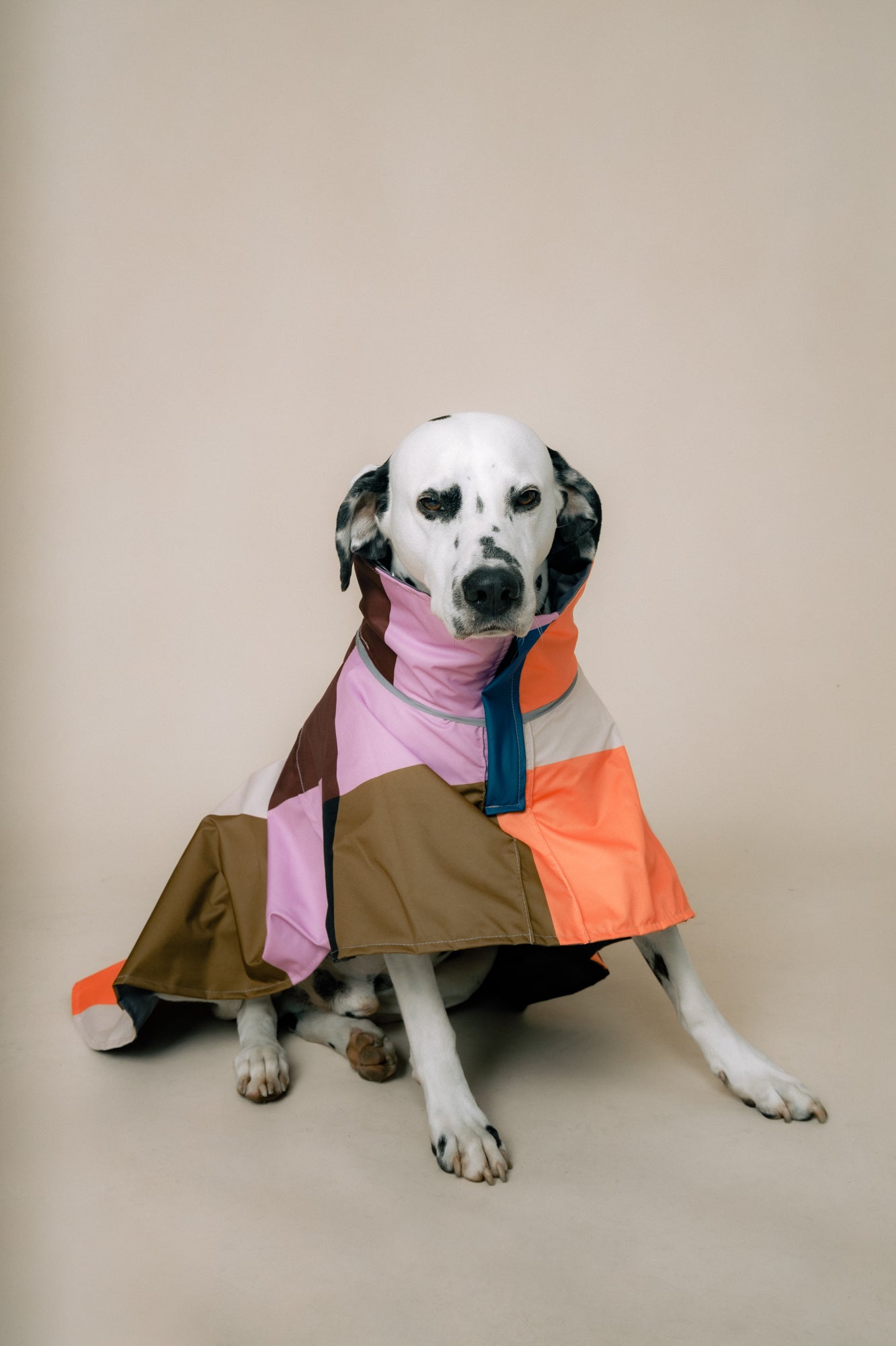 DOG´S RAINCOAT URBAN SPLASH