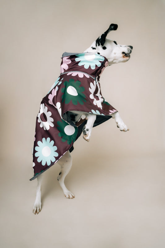 DOG´S RAINCOAT PETAL PLOP