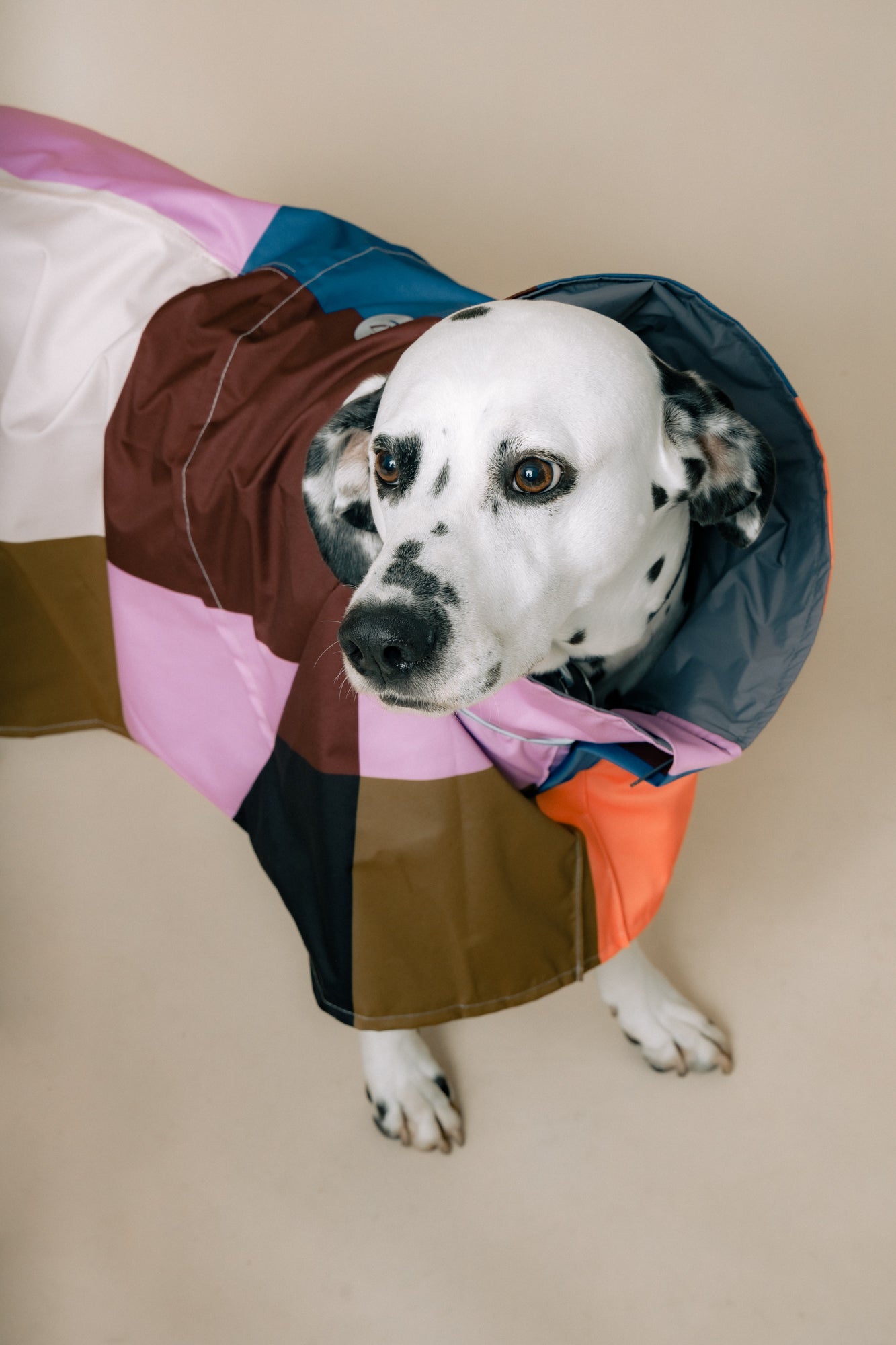 DOG´S RAINCOAT URBAN SPLASH