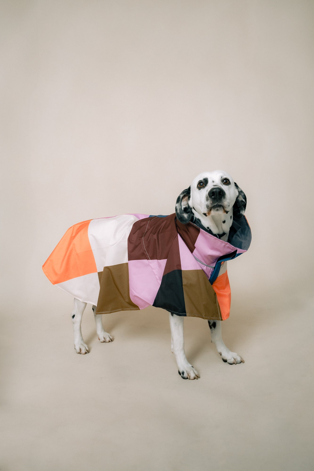 DOG´S RAINCOAT URBAN SPLASH