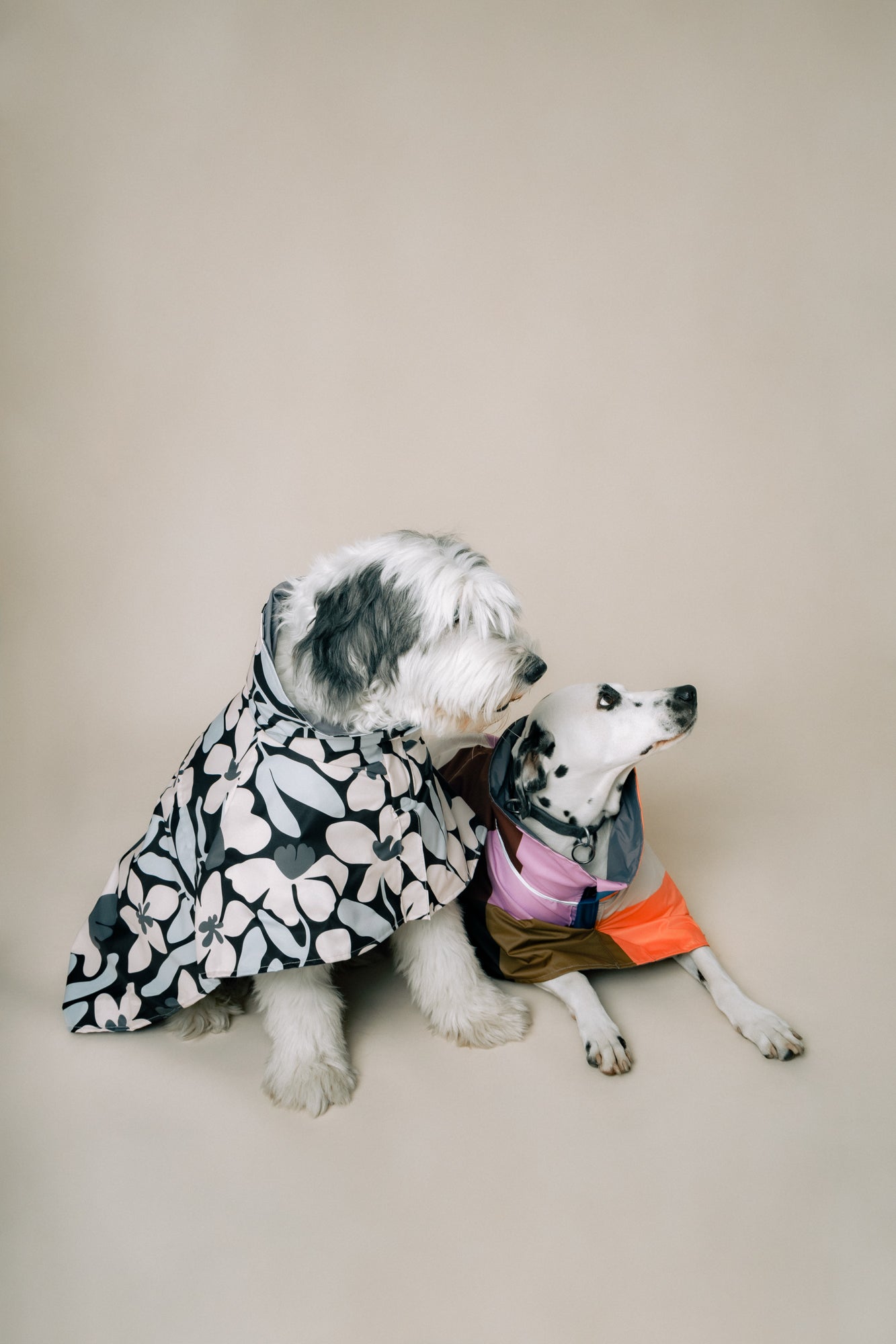 DOG´S RAINCOAT URBAN SPLASH