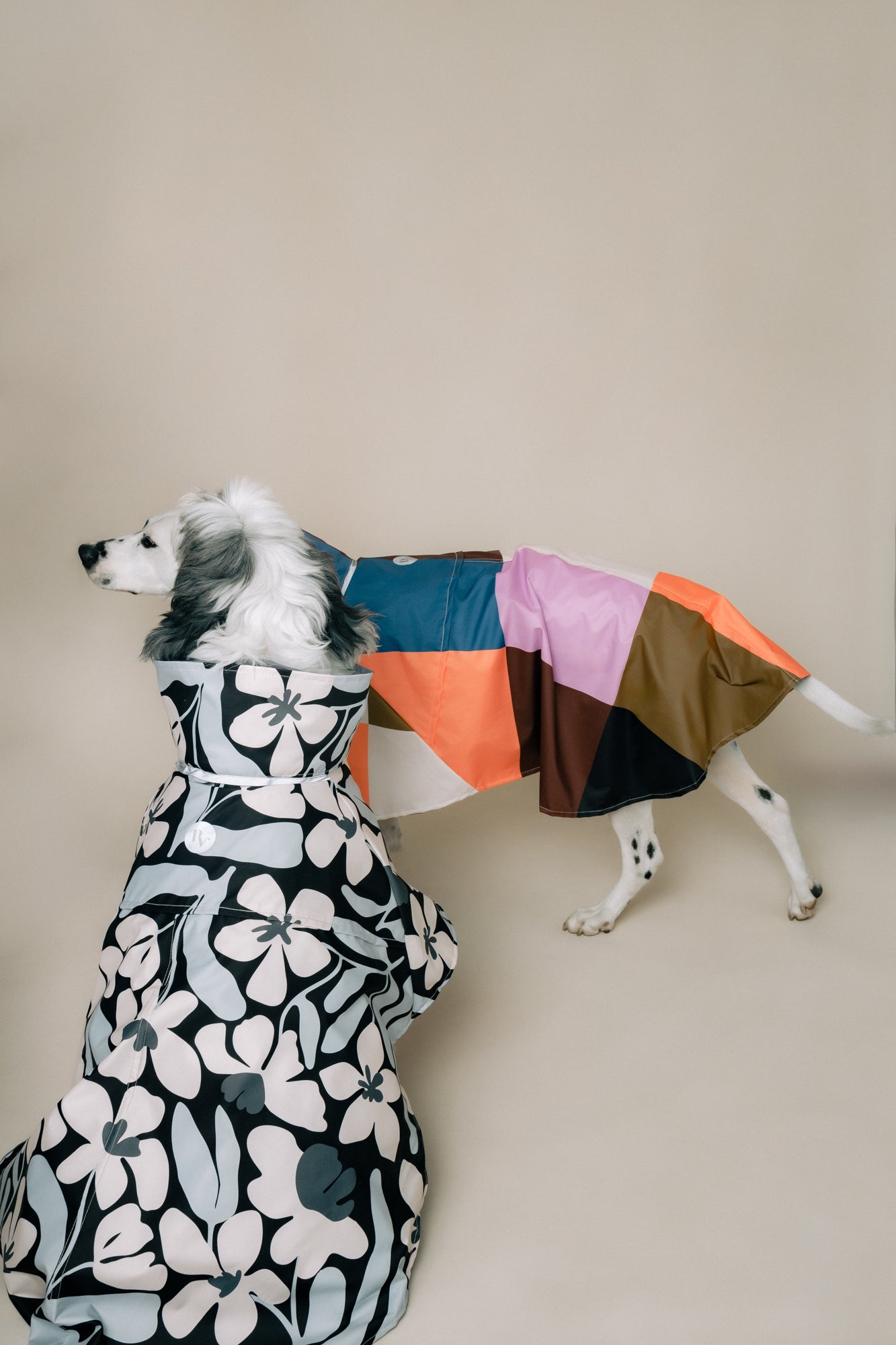 DOG´S RAINCOAT URBAN SPLASH