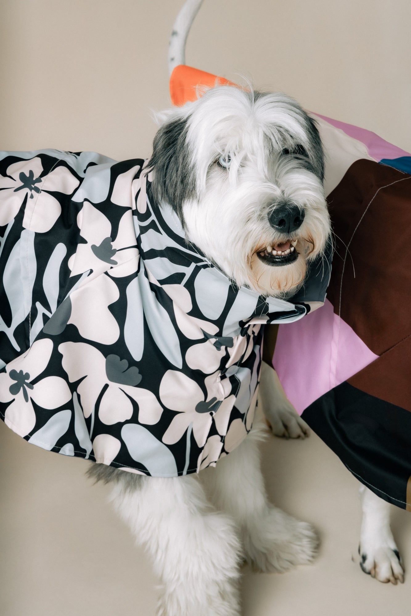 DOG´S RAINCOAT FLOWER STORM